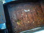 sprite floor boards when purchased